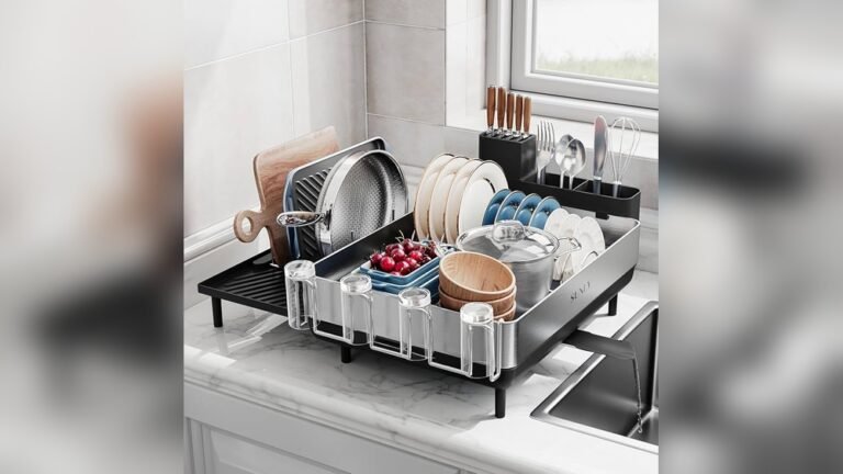 Best Dish Drying Rack