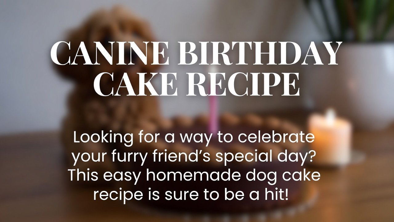 Canine Birthday Cake Recipe