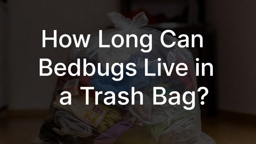 How Long Can Bedbugs Live in a Trash Bag