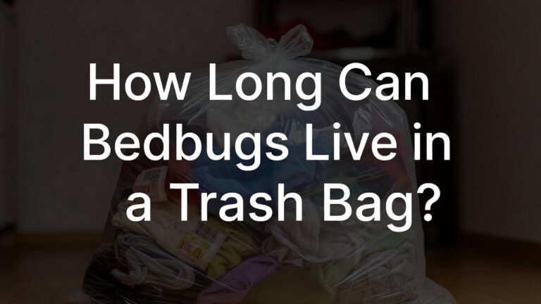How Long Can Bedbugs Live in a Trash Bag