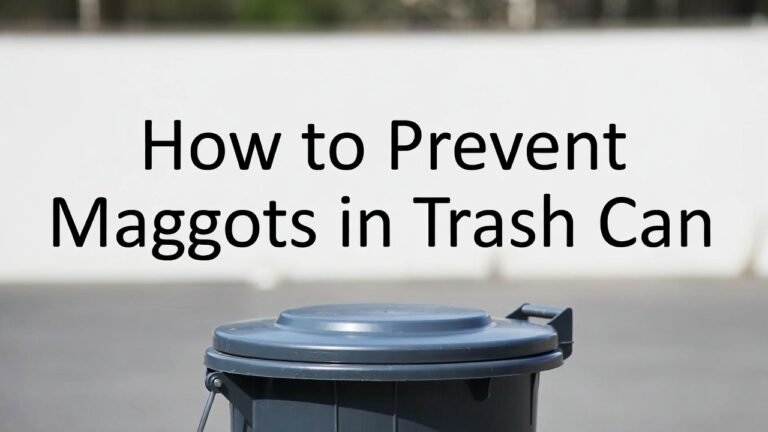 How to Prevent Maggots in Trash Can