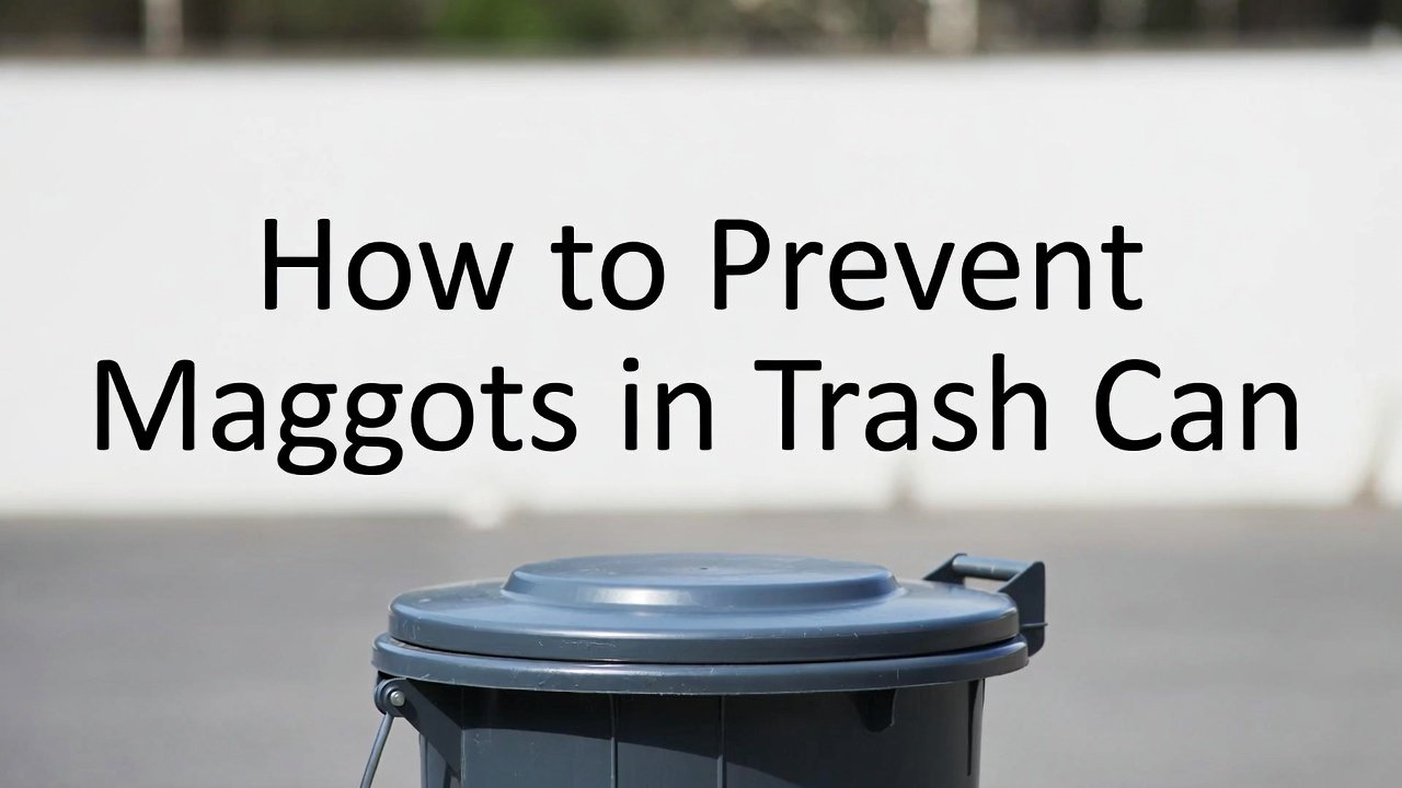How to Prevent Maggots in Trash Can