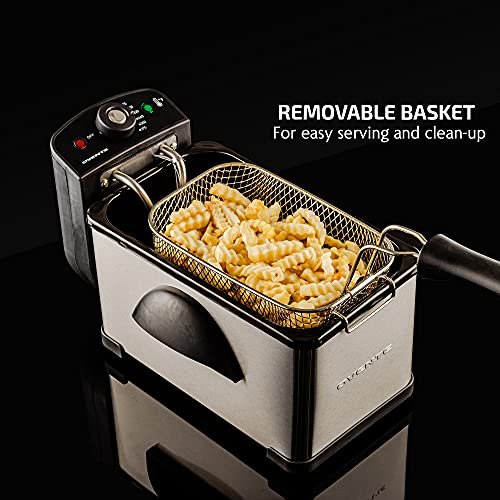 Electric Deep Fryer